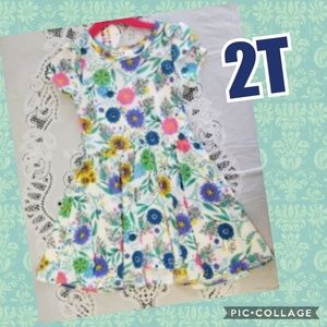 2T DDS Cap Sleeve Twirly Dress